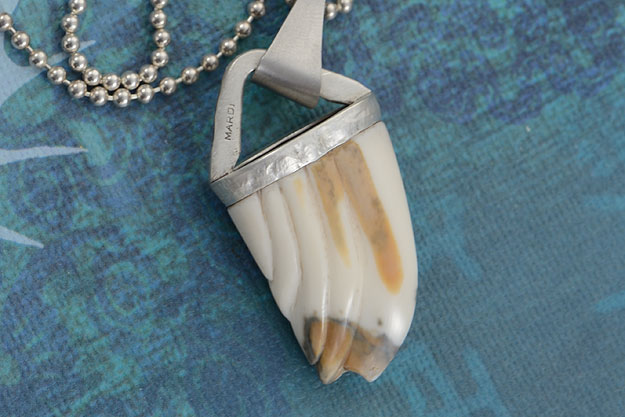 Carved Ancient Walrus Ivory Pendant