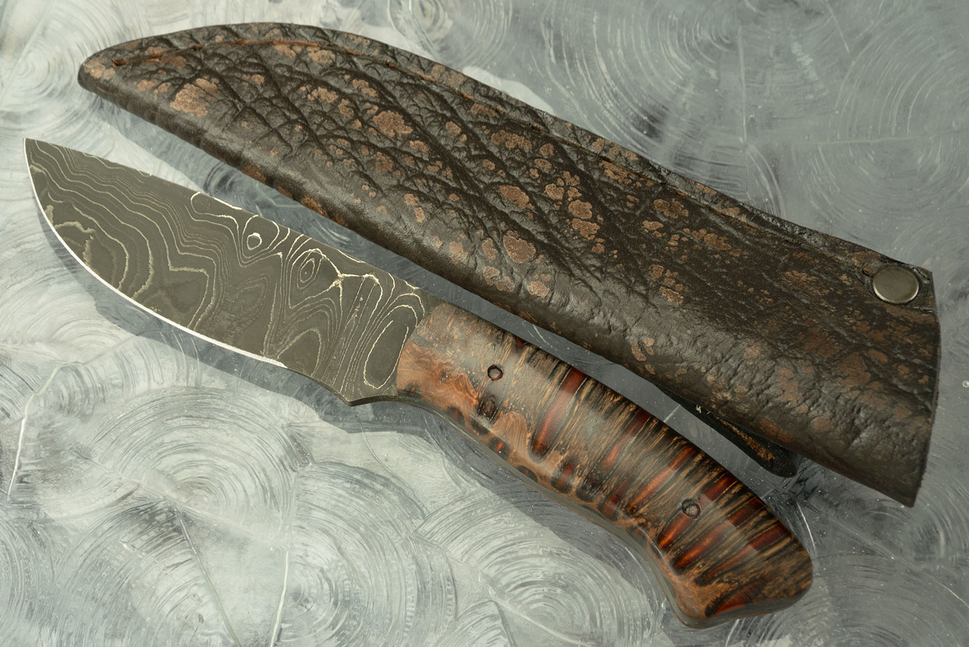 Damascus Drop Point Hunter with Banksia Pod