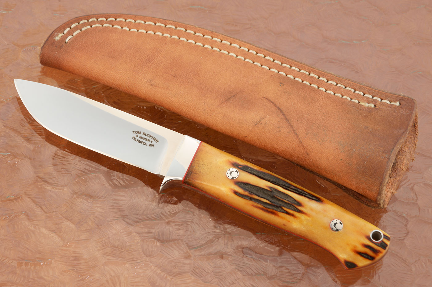 Loveless-Style Drop Point Hunter with Sambar Stag