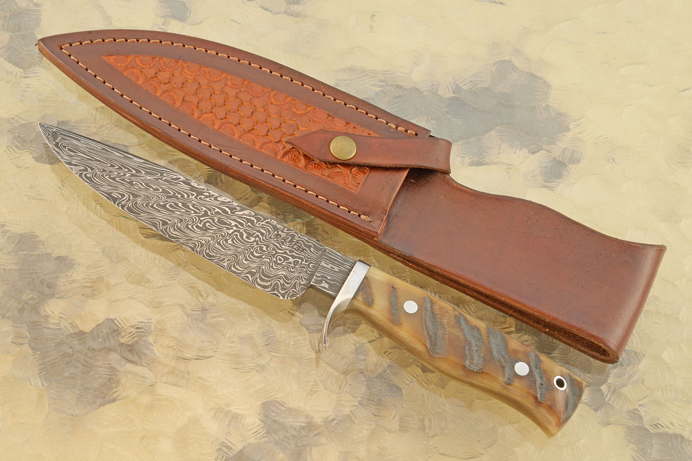 Damascus Field Knife with Sheep Horn
