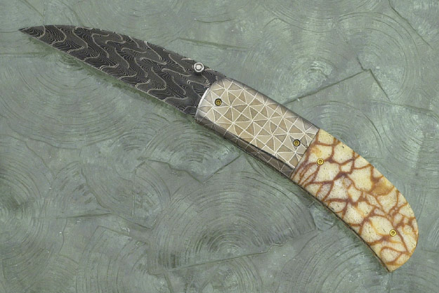 Tiger Coral Wharncliffe