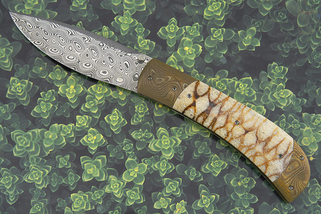 Umkhulu with Tiger Coral
