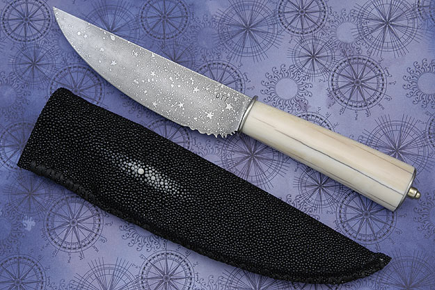 Starscape Fossil Walrus Bowie